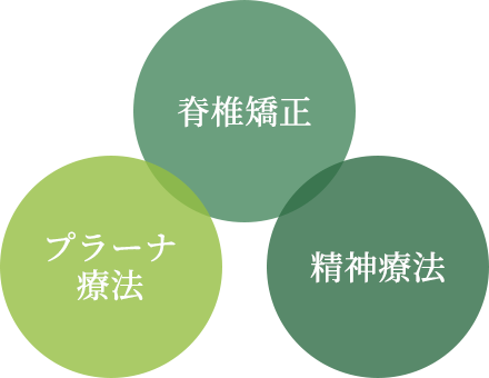 脊椎矯正 プラーナ療法 精神療法